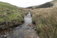41. Flowing past Emmett's Grange