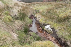 8. Flowing past Hangley Cleave
