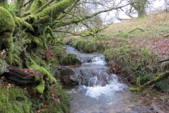 12. Flowing past Contest Plantation (18)