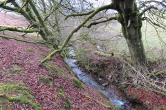 13. Upstream from Higher Spire (11)