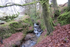 13. Upstream from Higher Spire (12)