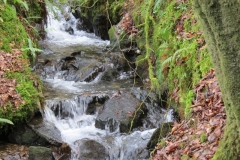 13. Upstream from Higher Spire (13)