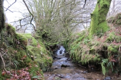 13. Upstream from Higher Spire (3)