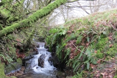 13. Upstream from Higher Spire (4)