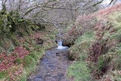 13. Upstream from Higher Spire (6)
