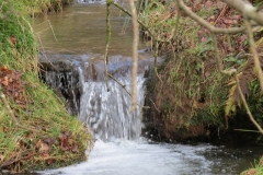 13. Upstream from Higher Spire (7)