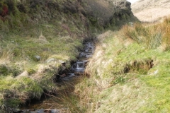 11. Flowing down Long Chains Combe