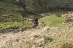 12. Flowing down Long Chains Combe