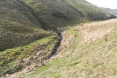 16. Flowing down Long Chains Combe