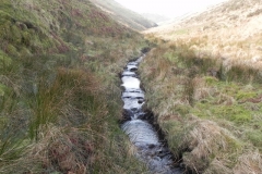 20. Flowing down Long Chains Combe