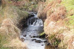 21. Flowing down Long Chains Combe