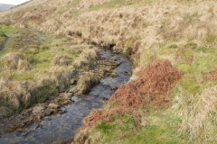 24. Flowing down Long Chains Combe