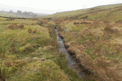 14. Flowing through Long Combe