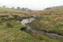 15. Flowing through Long Combe