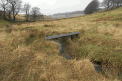 16. Long Combe Footbridge A