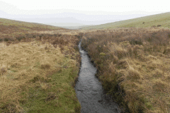 17. Looking upstream from Long Combe Footbridge A