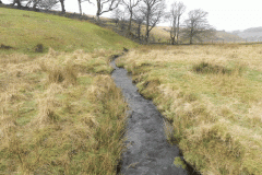 18. Looking downstream from Long Combe Footbridge A