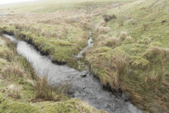 19. Spring water joins