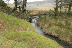 20. Flowing through Long Combe