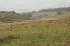 21. Long Combe