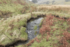 22. Flowing through Long Combe