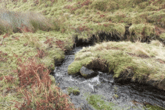 23. Flowing through Long Combe