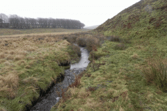 24. Flowing through Long Combe