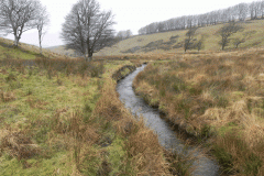26. Flowing through Long Combe
