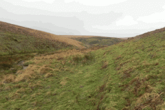 31. Flowing through Long Combe