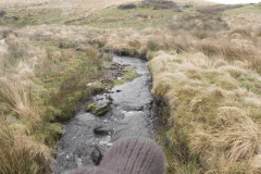 34. Looking upstream from Long Combe Footbridge B