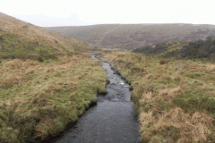45. Looking downstream from Long Combe Footbridge C