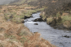 47. South of Little Tom's Hill