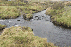 48. Waters join from West Pennard