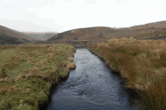 52. Looking upstream from ROW Footbridge 3447