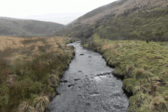 53. Looking downstream from ROW Footbridge 3447