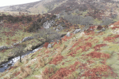 54. Looking down from Tom's Hill Barrows