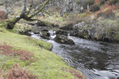 57. Upstream from Hoccombe Water join