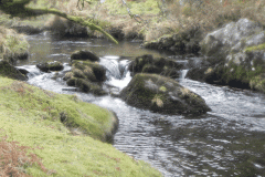 58. Upstream from Hoccombe Water join