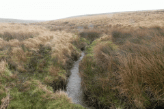 6. Below Swap Hill