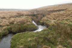 7. Below Swap Hill