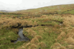 8. South of Lark Barrow