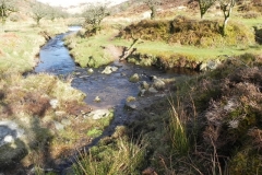 1. Looking downstream from confluence with Embercombe Water