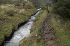 10. Upstream from Thurley Combe