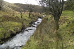 11. Upstream from Thurley Combe