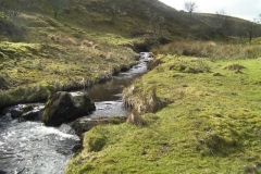 13. Downstream from Thurley Combe