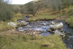 14. Great Hill Ford