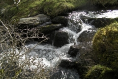 16. Downstream from Thurley Combe