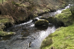 17. Downstream from Thurley Combe