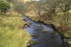 18. Upstream from Little Hill  Combe