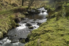 19. Upstream from Little Hill  Combe